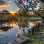 Tyler, Texas: Discover Rose City’s…